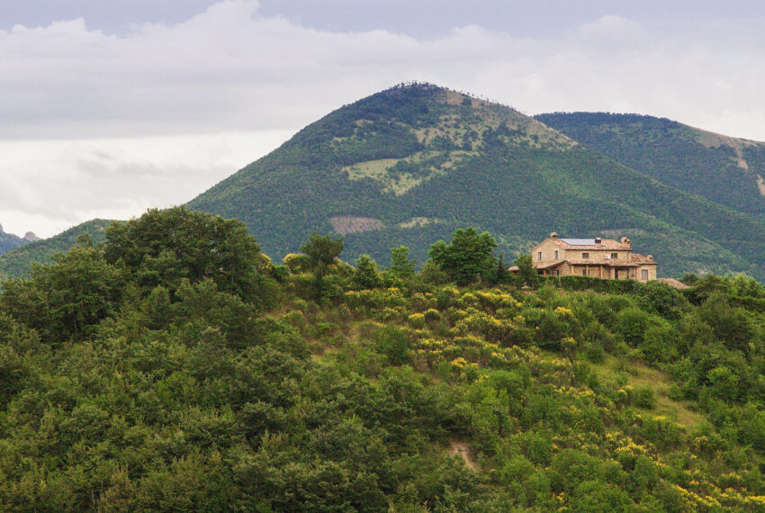 S. Apollinare - Justmarche