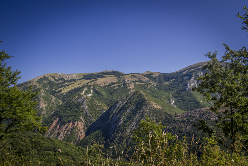 IMG_7175