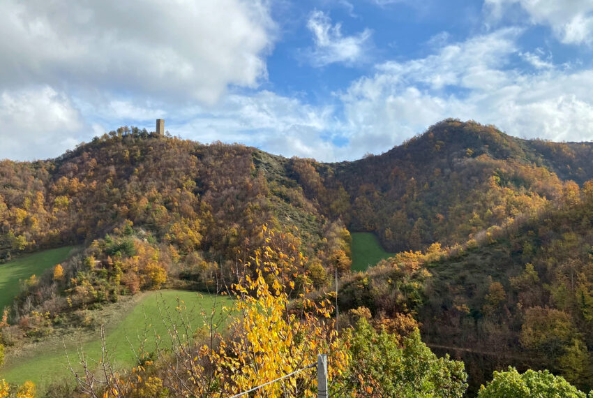 Borgo Il Monte - Justmarche