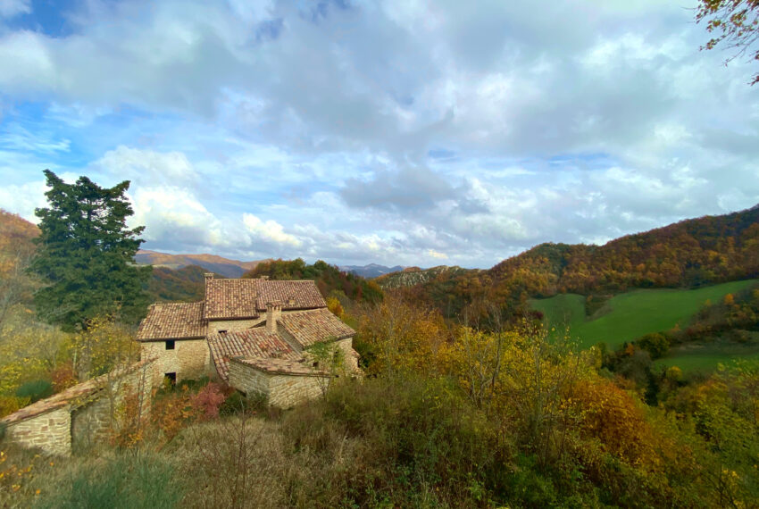 Borgo Il Monte - Justmarche