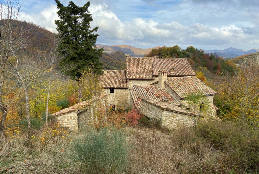 Borgo Il Monte - Justmarche