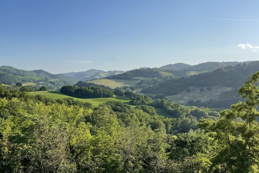 Ca' Mattioli - Justmarche