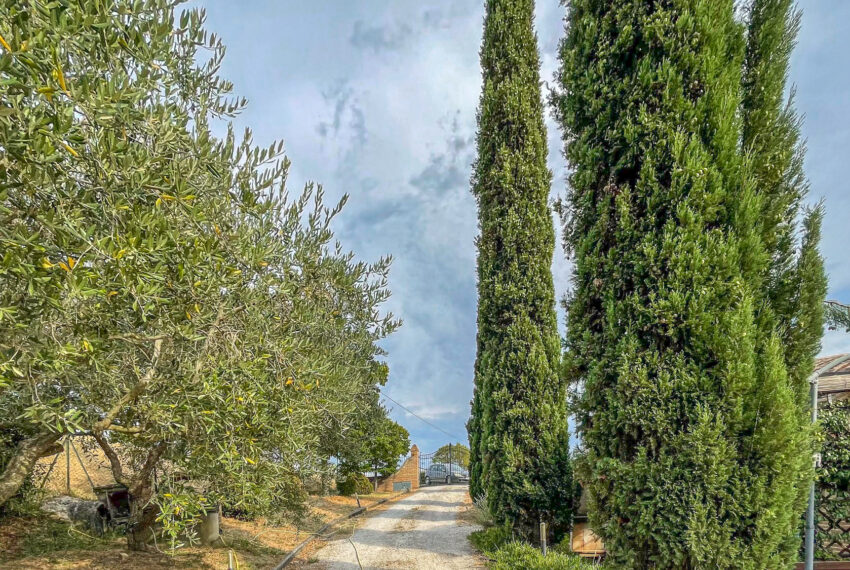 La Cesana - Justmarche