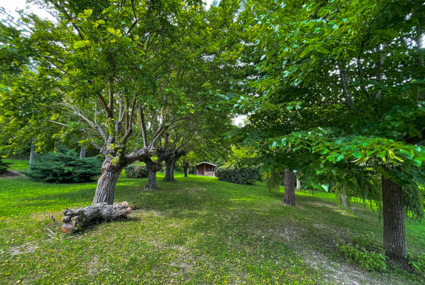 villa bianchi-68