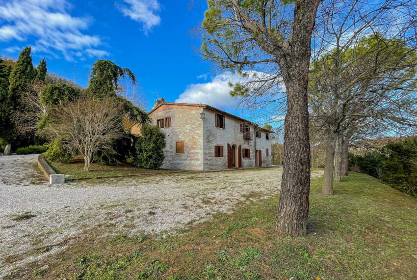 San Fiorano - Justmarche-090