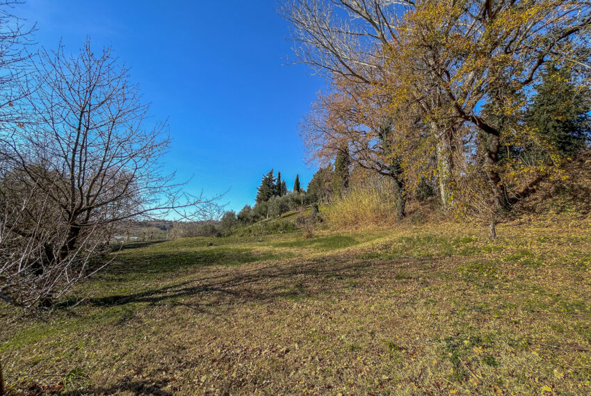 Villa San Michele - Mondavio -11