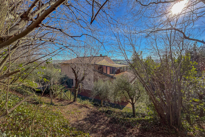 Villa San Michele - Mondavio -14