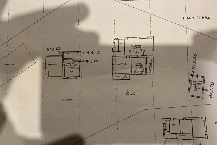 WhatsApp Image 2025-04-10 at 20.14.29