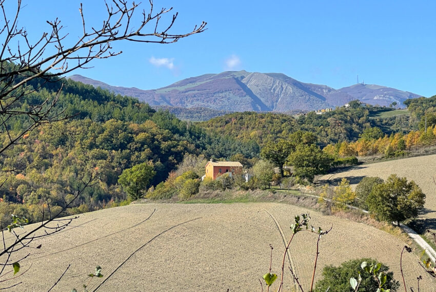 Casa Collina-26