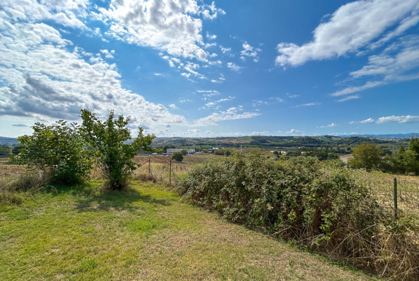 Casale osimo -18