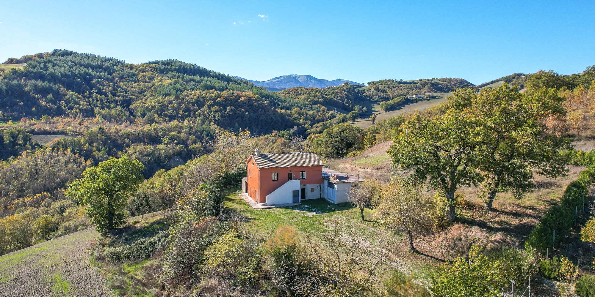 Casale Collina – Dominant position and infinite potential